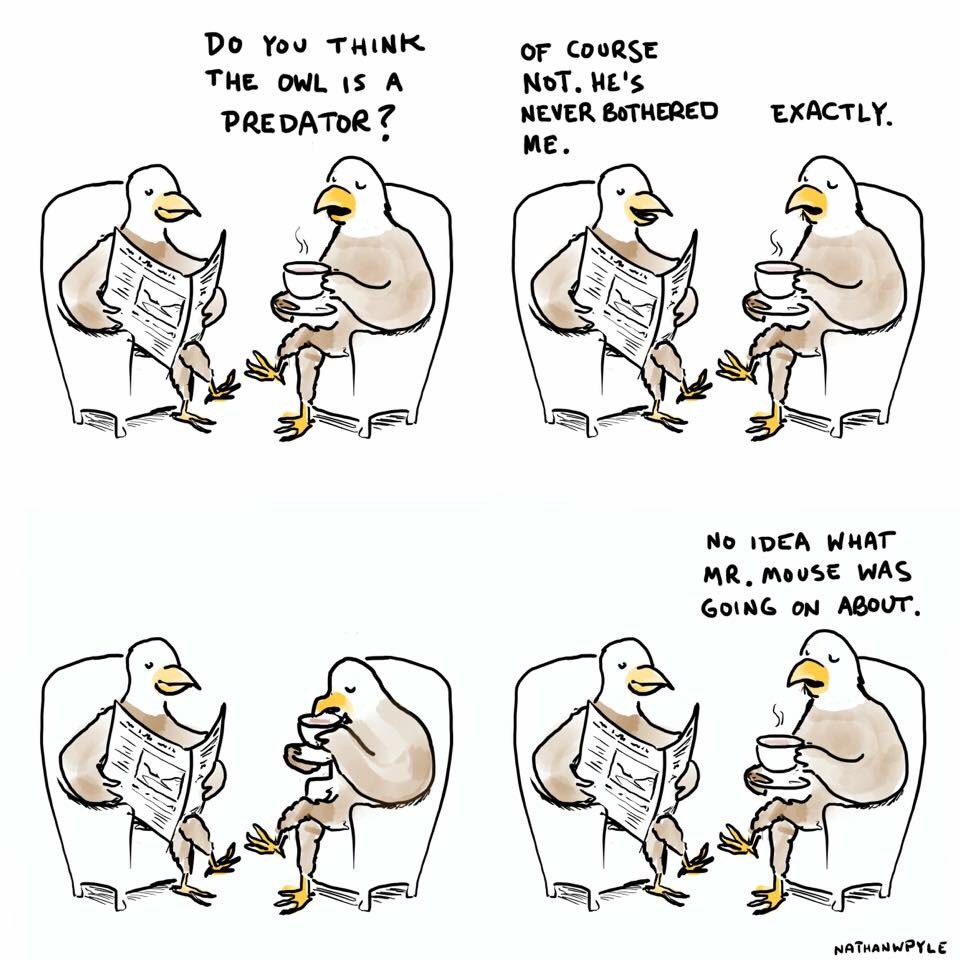 Four panel comic by Nathan Pyle.

Two eagles are sat on armchairs, one reading a paper and the other drinking tea.

Panel 1: 
Eagle 1: "Do you think the owl is a predator?"

Panel 2:
Eagle 2: "Of course not. He's never bothered me."
Eagle 1: "Exactly."

Panel 3:
The tea-drinking eagle sips his drink.

Panel 4:
Eagle 1: "No idea what Mr Mouse was going on about."